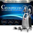 Fat Removal Slimming Laser Machine 4 Handpiece Cryolipolysis
