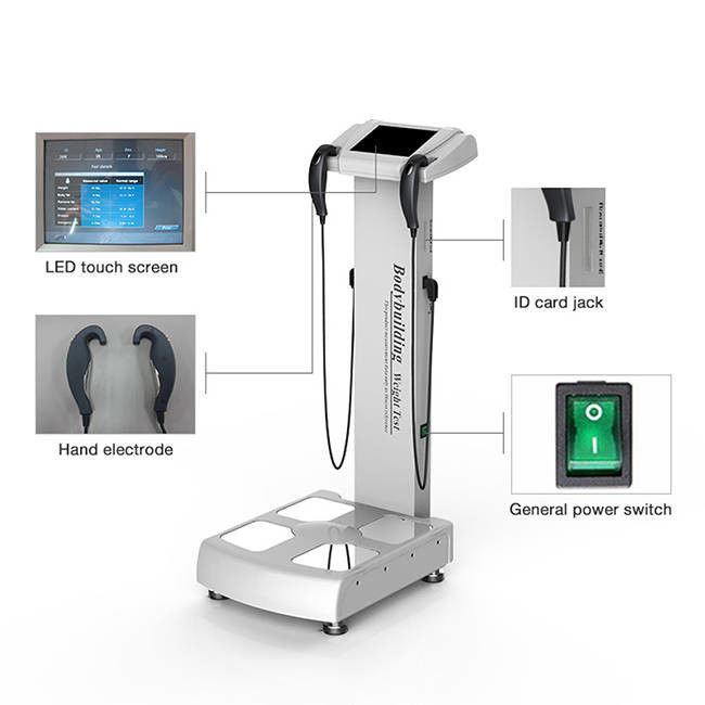 Bioelectrical Bio 100KHZ USB2.0 Body Composition Analyser